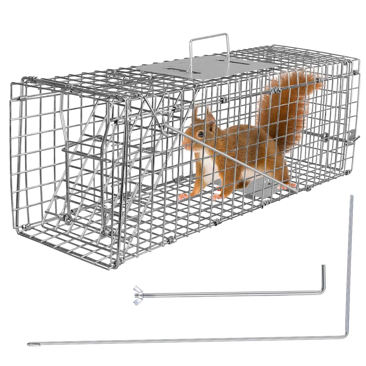 Humane Live Animal Rodent Cage Collapsible Galvanized Wire DailySale