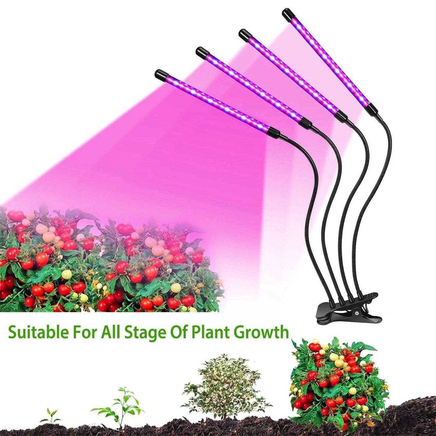 iMounTEK 80W 80 LEDs Plant Lights DailySale