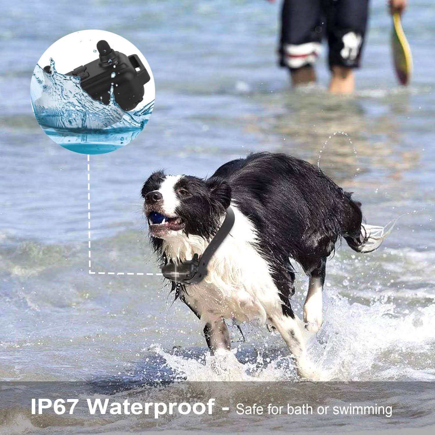 iMountek Dog Training Collar IP DailySale