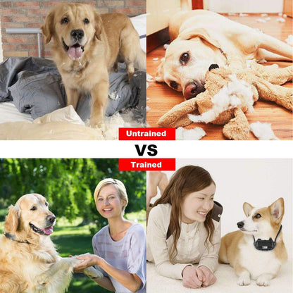 iMountek Dog Training Collar IP DailySale