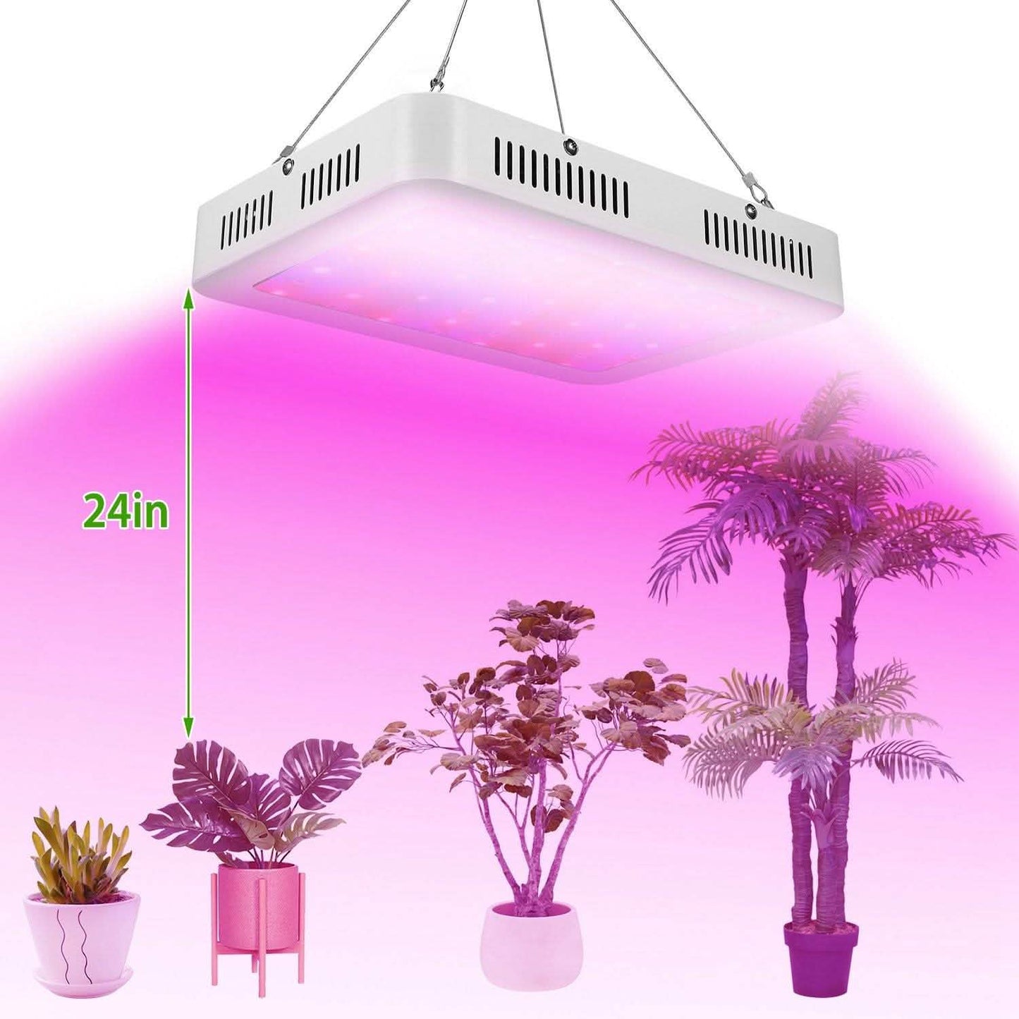 iMountek LED Plant Grow Lights 1000W DailySale