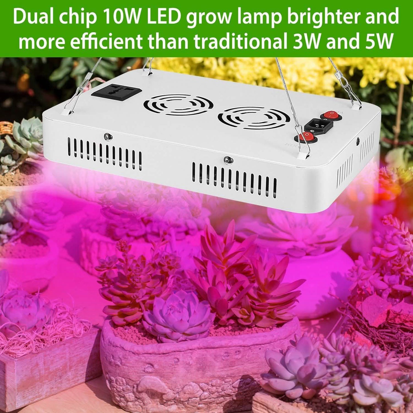 iMountek LED Plant Grow Lights 1000W DailySale