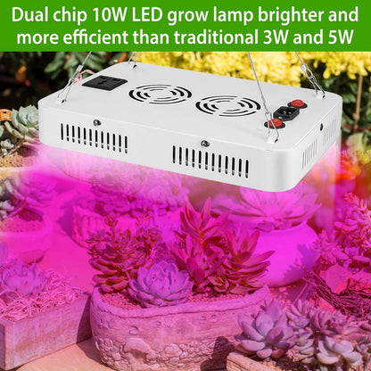 iMountek LED Plant Grow Lights 1000W DailySale