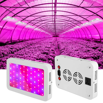 iMountek LED Plant Grow Lights 1000W DailySale