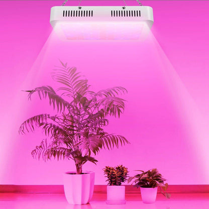 iMountek LED Plant Grow Lights 1000W DailySale