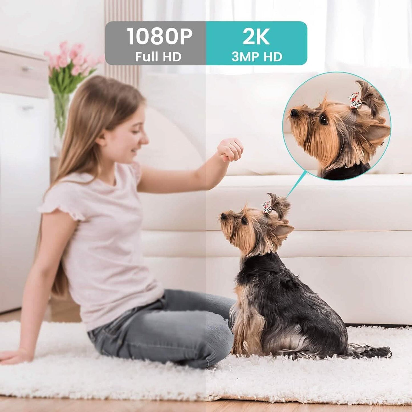 Indoor Camera, Cameras for Home Security with Night Vision  (Refurbished) DailySale