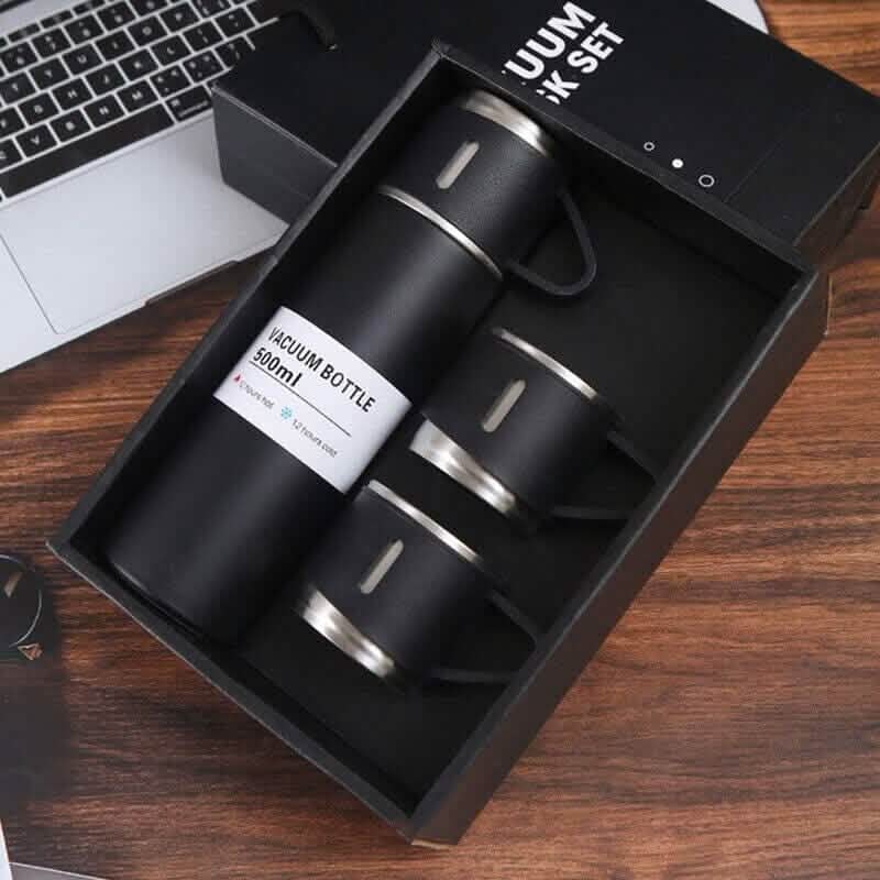 Insulated Stainless Steel Water Bottle DailySale