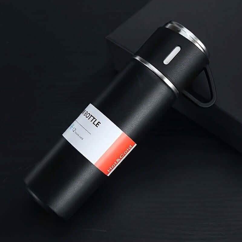 Insulated Stainless Steel Water Bottle DailySale