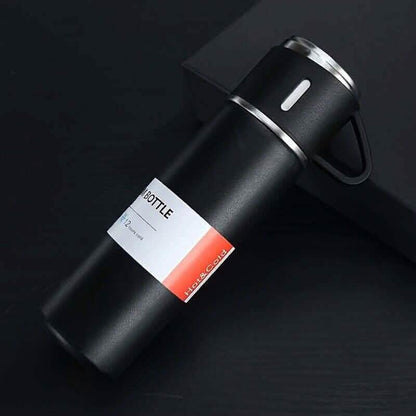 Insulated Stainless Steel Water Bottle DailySale