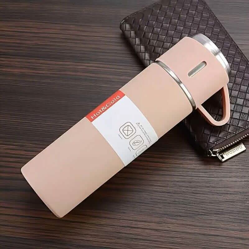Insulated Stainless Steel Water Bottle DailySale