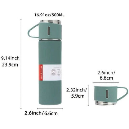 Insulated Stainless Steel Water Bottle DailySale