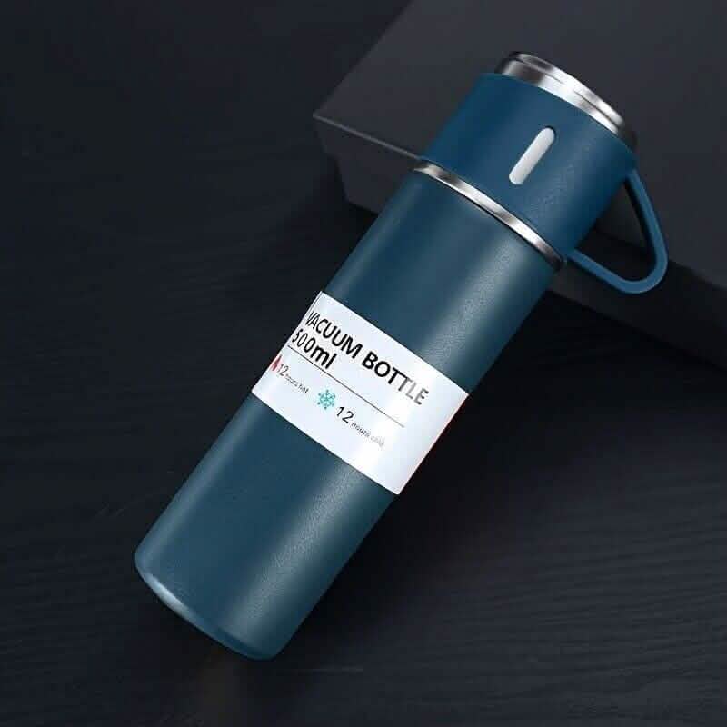 Insulated Stainless Steel Water Bottle DailySale