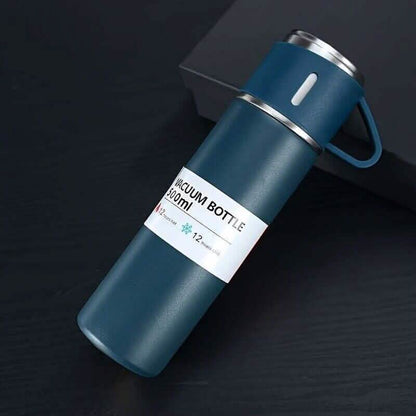 Insulated Stainless Steel Water Bottle DailySale