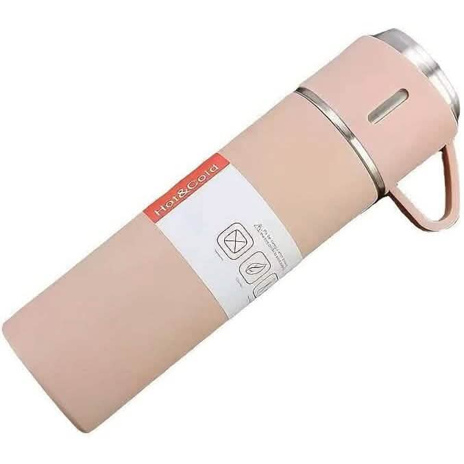 Insulated Stainless Steel Water Bottle DailySale