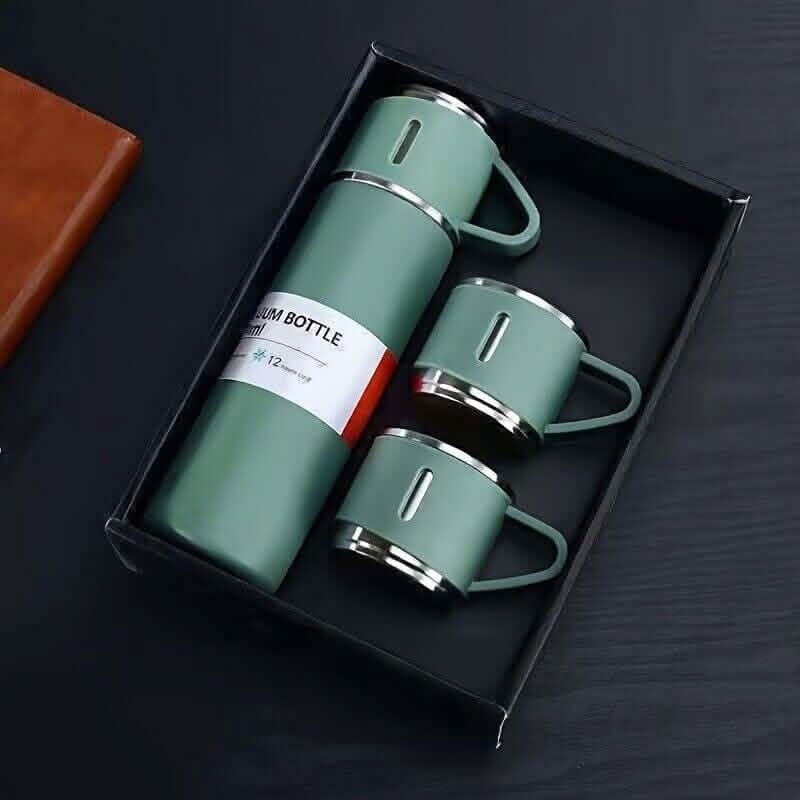 Insulated Stainless Steel Water Bottle DailySale