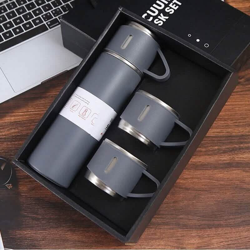 Insulated Stainless Steel Water Bottle DailySale