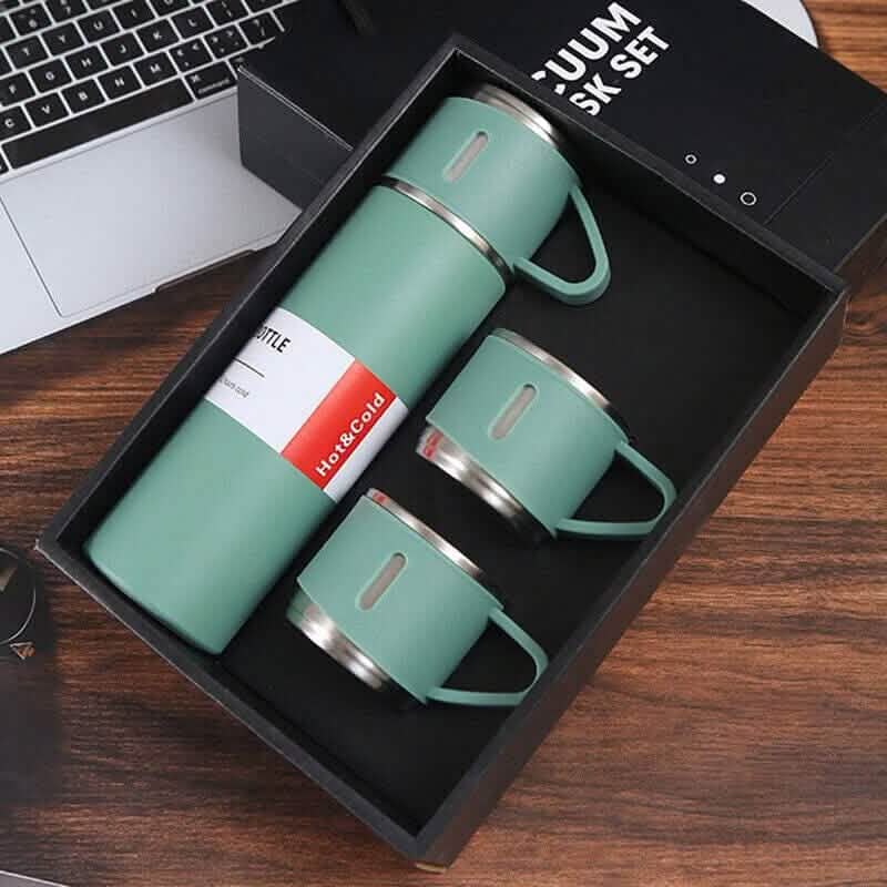 Insulated Stainless Steel Water Bottle DailySale