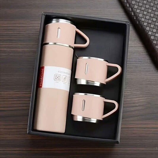 Insulated Stainless Steel Water Bottle DailySale