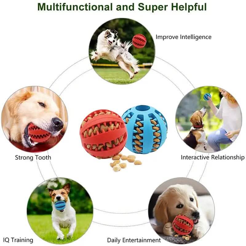 Interactive Elastic Puppy Chew Toy DailySale