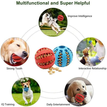 Interactive Elastic Puppy Chew Toy DailySale