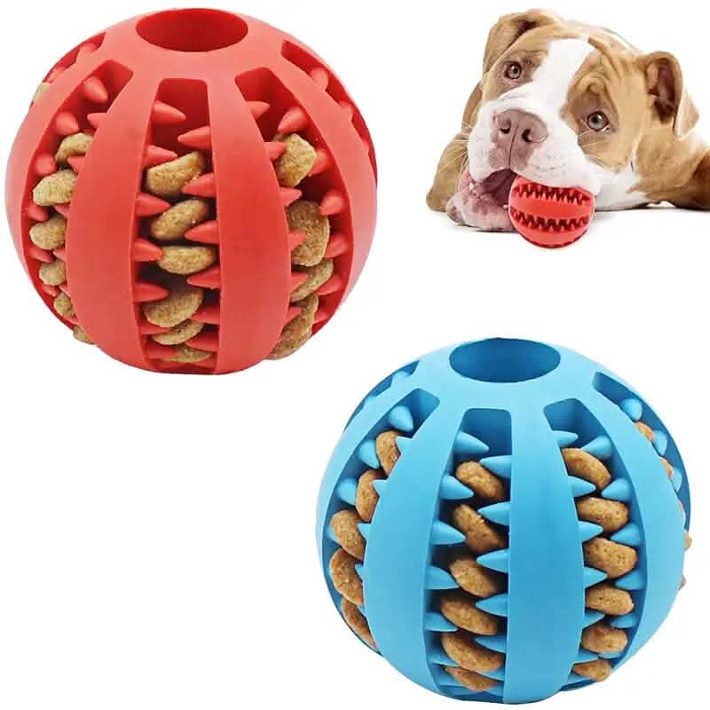 Interactive Elastic Puppy Chew Toy DailySale