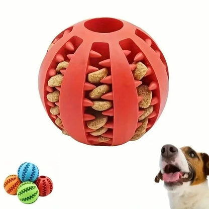 Interactive Elastic Puppy Chew Toy DailySale
