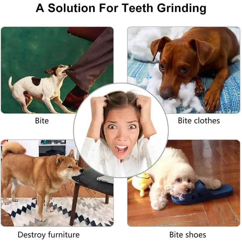 Interactive Elastic Puppy Chew Toy DailySale