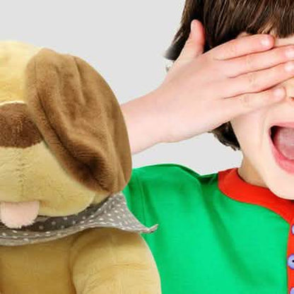 Interactive Sing & Play 9.5" Plush Toy DailySale