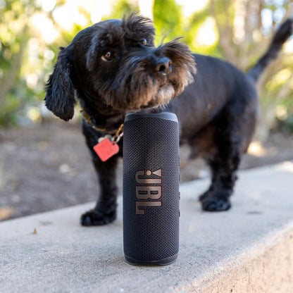 JBL Flip 6 Portable Bluetooth Speaker (Refurbished) DailySale