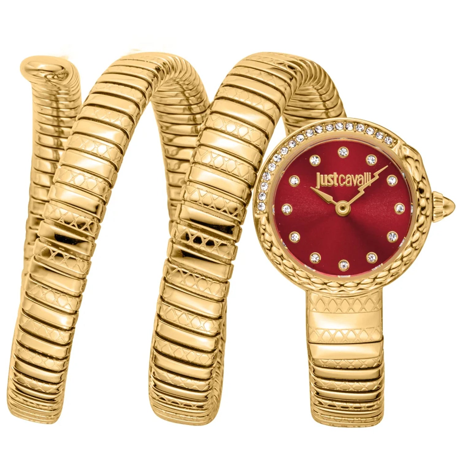 Just Cavalli Women's Enchanting Snake Bids.com