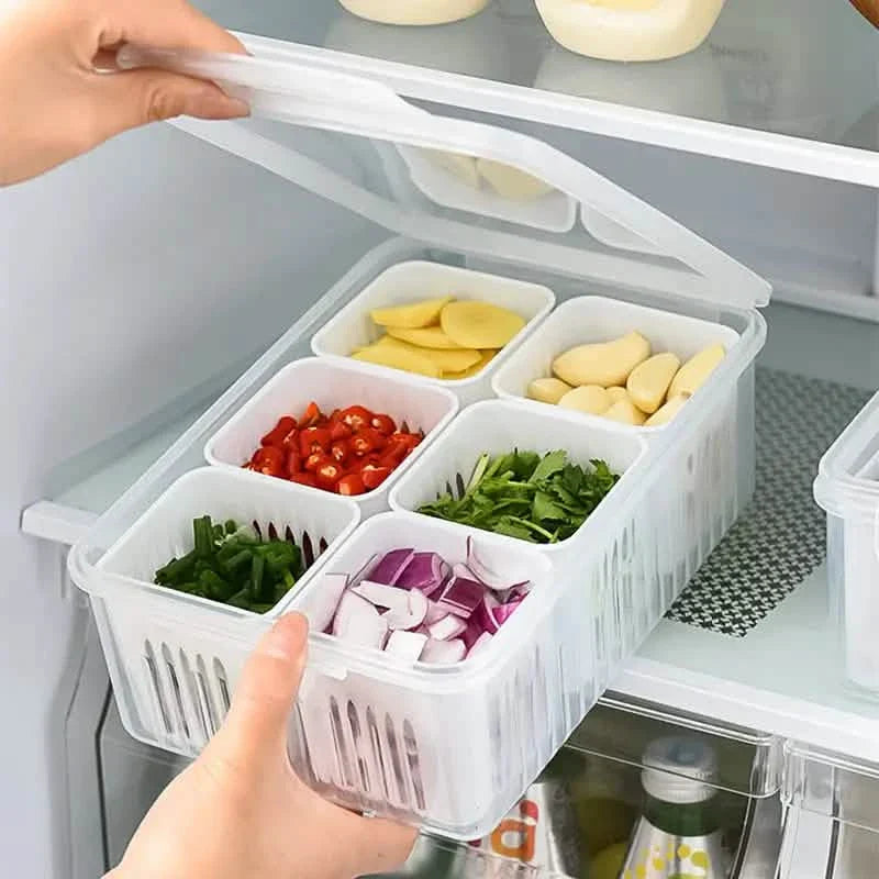 Kitchen Scallion Storage Box DailySale