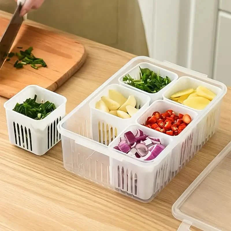 Kitchen Scallion Storage Box DailySale