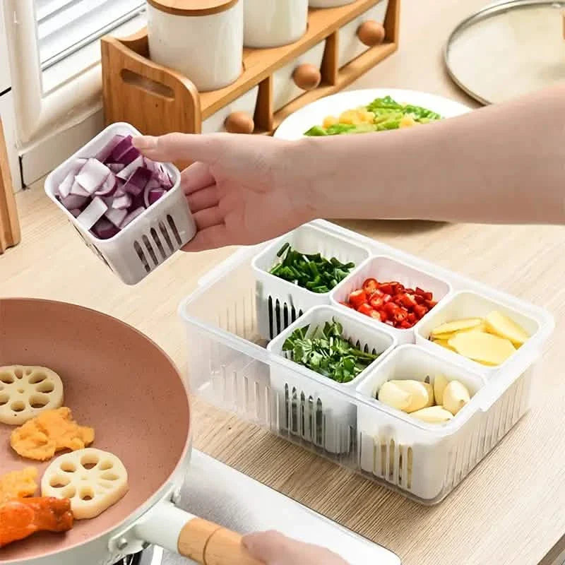Kitchen Scallion Storage Box DailySale