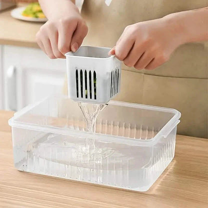 Kitchen Scallion Storage Box DailySale