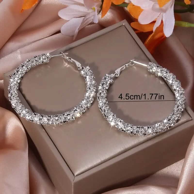 Large Full Rhinestone Silver Hoop Earrings DailySale