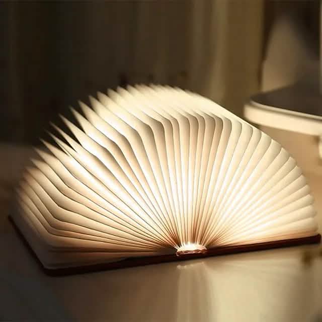 LED Bedside Standing Lamp Book Table Night Lamp DailySale