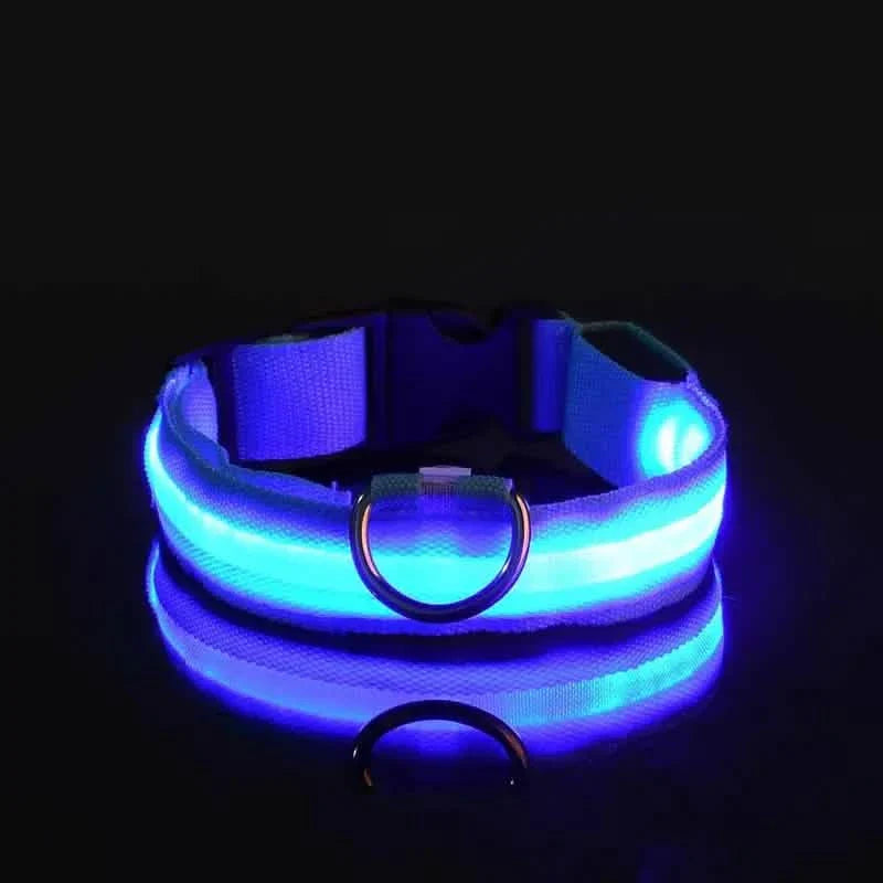 LED Dog Collars Light Adjustable Flashing Luminous Collar Night Anti-Lost DailySale