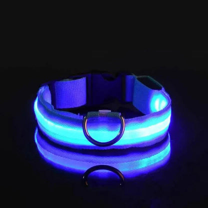 LED Dog Collars Light Adjustable Flashing Luminous Collar Night Anti-Lost DailySale