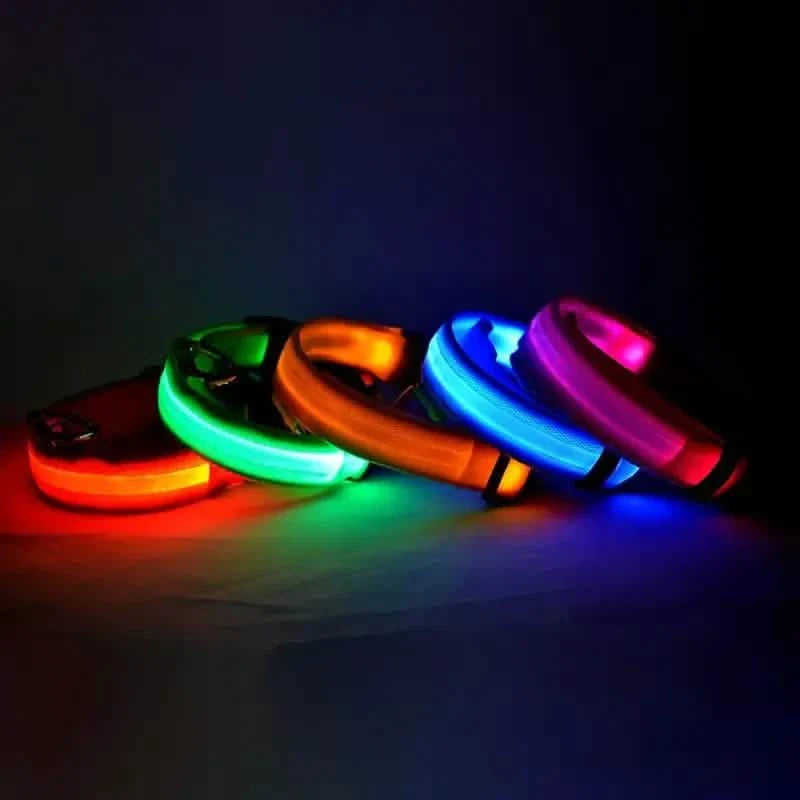 LED Dog Collars Light Adjustable Flashing Luminous Collar Night Anti-Lost DailySale