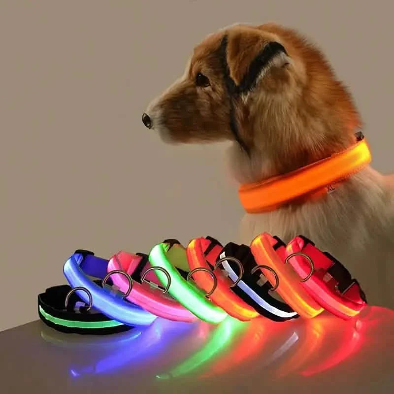 LED Dog Collars Light Adjustable Flashing Luminous Collar Night Anti-Lost DailySale