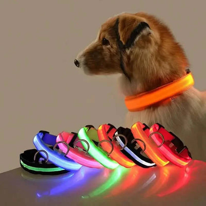 LED Dog Collars Light Adjustable Flashing Luminous Collar Night Anti-Lost DailySale