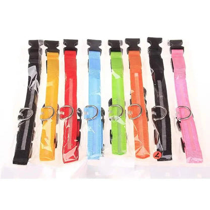 LED Dog Collars Light Adjustable Flashing Luminous Collar Night Anti-Lost DailySale
