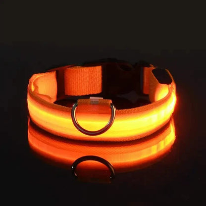 LED Dog Collars Light Adjustable Flashing Luminous Collar Night Anti-Lost DailySale