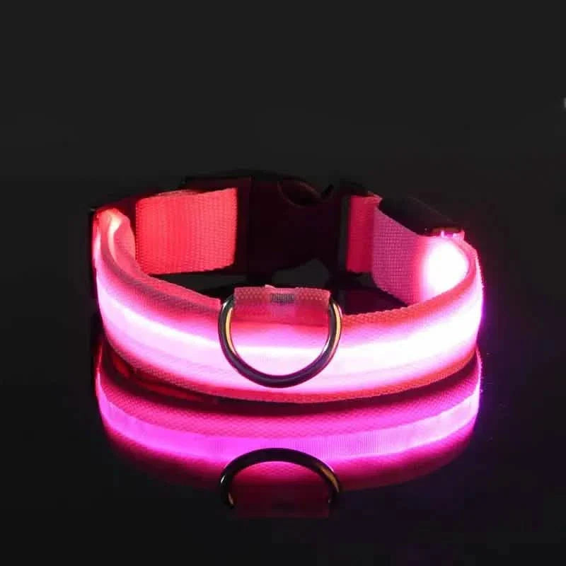 LED Dog Collars Light Adjustable Flashing Luminous Collar Night Anti-Lost DailySale