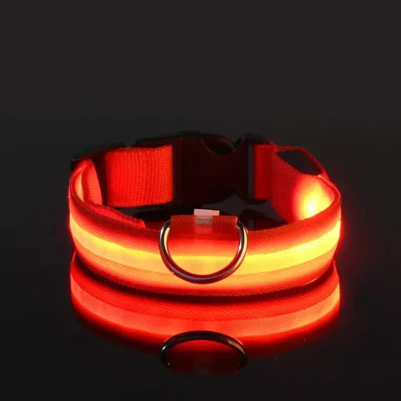 LED Dog Collars Light Adjustable Flashing Luminous Collar Night Anti-Lost DailySale