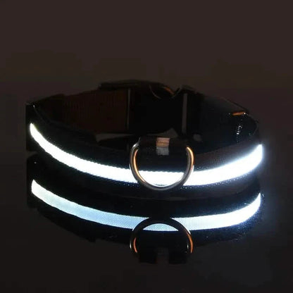 LED Dog Collars Light Adjustable Flashing Luminous Collar Night Anti-Lost DailySale