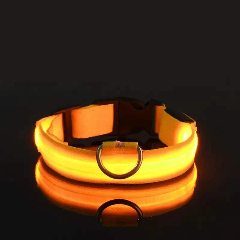 LED Dog Collars Light Adjustable Flashing Luminous Collar Night Anti-Lost DailySale