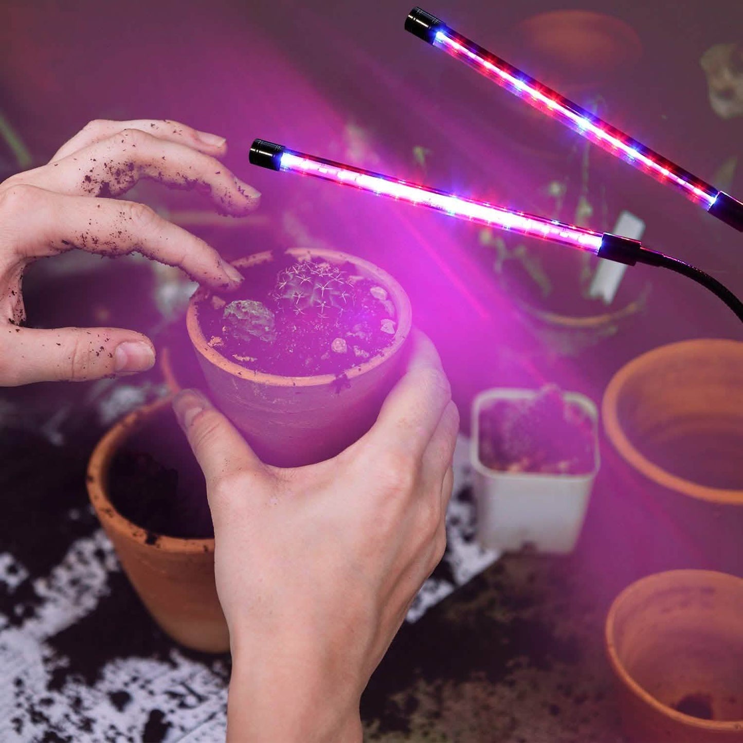 LED Grow Light Dual Head Lamp DailySale