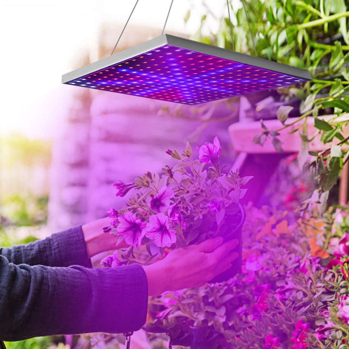 LED Grow Light Full Spectrum Hanging DailySale