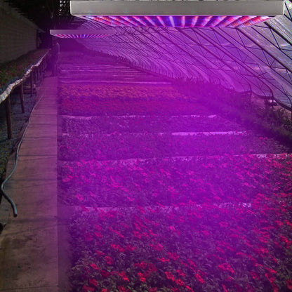 LED Grow Light Full Spectrum Hanging DailySale